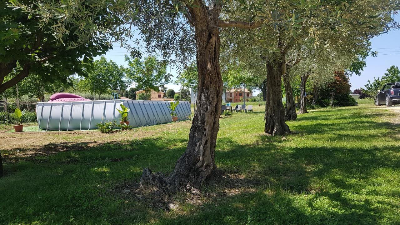 Treia "La Grancia" Country House旅馆 外观 照片