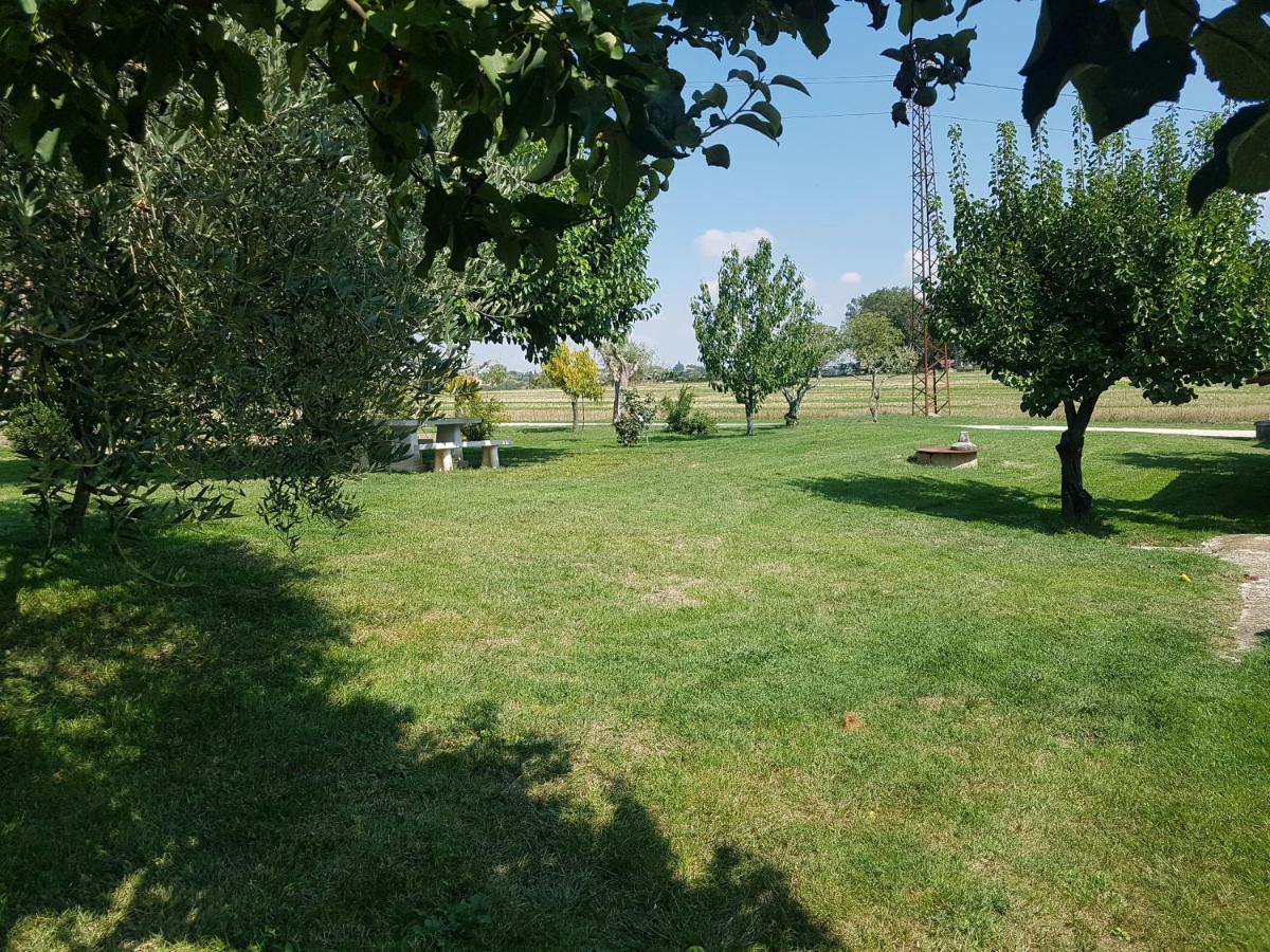 Treia "La Grancia" Country House旅馆 外观 照片